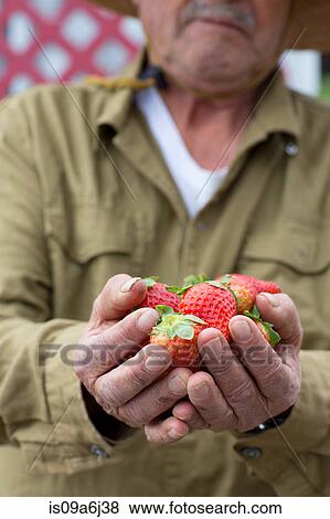 Stock Photo - Man holding strawberries outdoors. Fotosearch