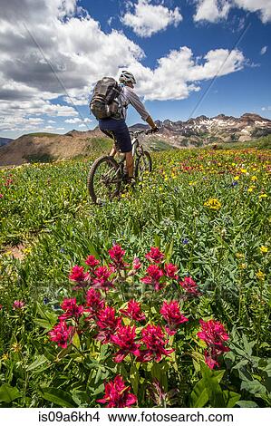 Picture - Mountain biker on green trail. Fotosearch