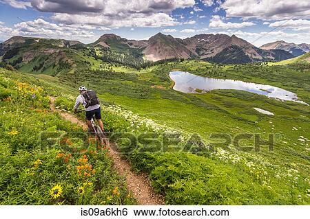 Stock Photograph - Mountain biker on green trail. Fotosearch