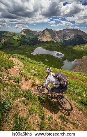 Stock Photography - Mountain biker on green trail. Fotosearch