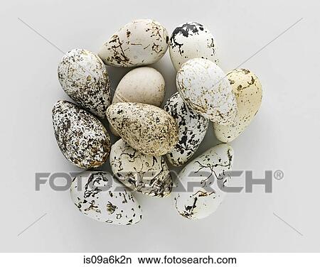 Pile of old speckled eggs View Large Photo Image Picture - Pile of old speckled eggs. Fotosearch