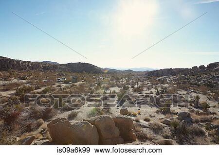 Sun shining over desert landscape View Large Photo Image Stock Photo - Sun shining over desert landscape. Fotosearch