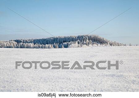 Trees on snowy rural mountain View Large Photo Image Stock Image - Trees on snowy rural mountain. Fotosearch