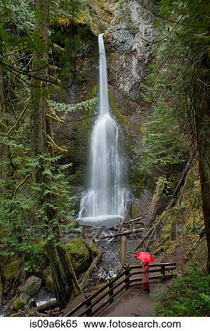 Woman with umbrella admiring waterfall View Large Photo Image Stock Photography - Woman with umbrella admiring waterfall. Fotosearch