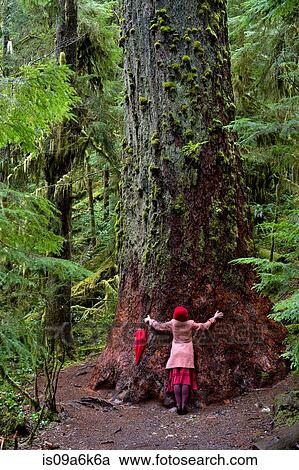 Woman with umbrella hugging tree View Large Photo Image Stock Image - Woman with umbrella hugging tree. Fotosearch