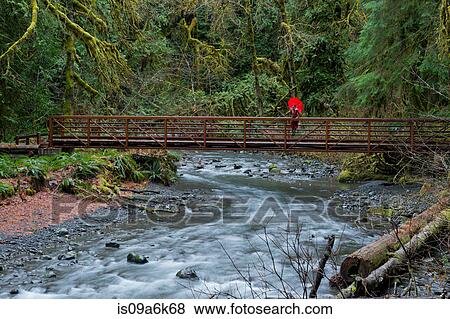 Woman with umbrella on bridge in forest View Large Photo Image Stock Photo - Woman with umbrella on bridge in forest. Fotosearch