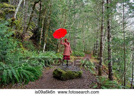 Picture - Woman with umbrella walking in forest. Fotosearch