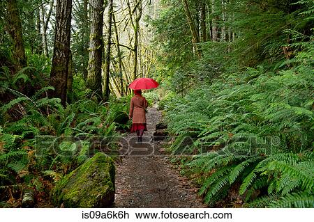 Stock Image - Woman with umbrella walking in forest. Fotosearch