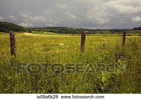 Stock Photo - Wooden fence posts in rural landscape. Fotosearch