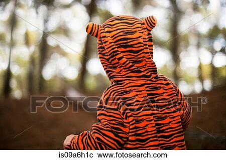 Stock Image - Back view of male toddler in tiger suit exploring woods. Fotosearch
