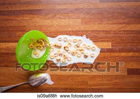 Bowl of cereal spilled on floor View Large Photo Image Stock Image - Bowl of cereal spilled on floor. Fotosearch