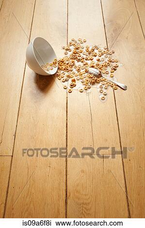 Bowl of cereal spilled on floor View Large Photo Image Stock Image - Bowl of cereal spilled on floor. Fotosearch