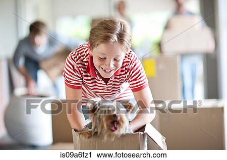 Boy moving house with dog in box View Large Photo Image Stock Image - Boy moving house with dog in box. Fotosearch