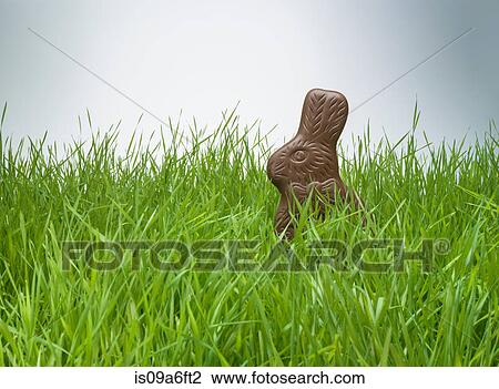 Chocolate bunny hiding in grass View Large Photo Image Stock Image - Chocolate bunny hiding in grass. Fotosearch
