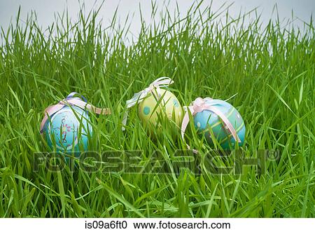 Decorative easter egg hiding in grass View Large Photo Image Stock Image - Decorative easter egg hiding in grass. Fotosearch