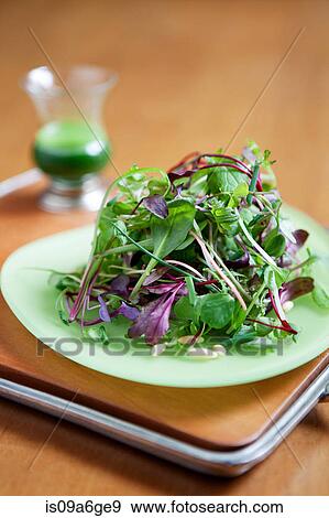 Stock Photo - Fresh green salad. Fotosearch