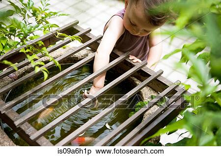 Stock Photography - Male toddler reaching into fishpond. Fotosearch