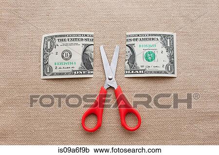 One dollar bill cut in half with scissors View Large Photo Image Stock Image - One dollar bill cut in half with scissors. Fotosearch