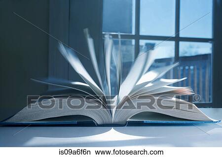 Picture - Pages in open book. Fotosearch