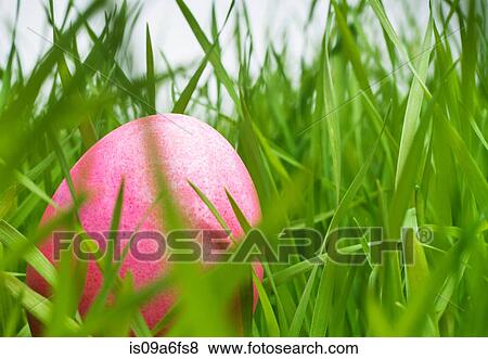 Stock Photo - Pink easter egg hiding in grass. Fotosearch