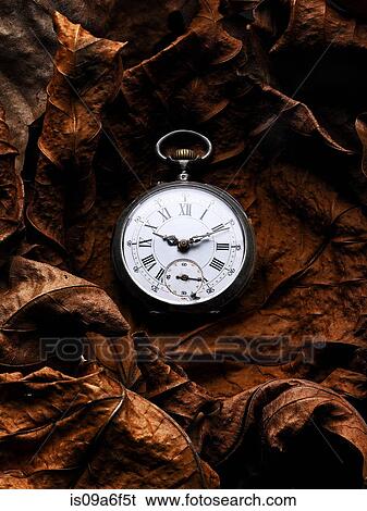 Stock Photograph - Pocket watch on autumn leaves. Fotosearch