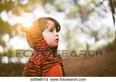 Stock Image - Portrait of male toddler in tiger suit alone in woods. Fotosearch