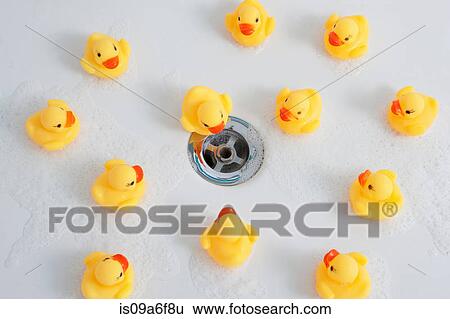 Rubber ducks near plughole in bath View Large Photo Image Stock Photograph - Rubber ducks near plughole in bath. Fotosearch