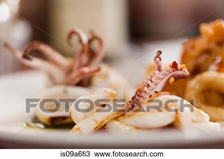 Stock Image - Squid dish. Fotosearch