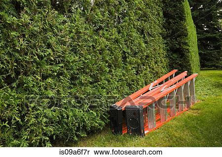 Stepladders by hedge View Large Photo Image Stock Photography - Stepladders by hedge. Fotosearch