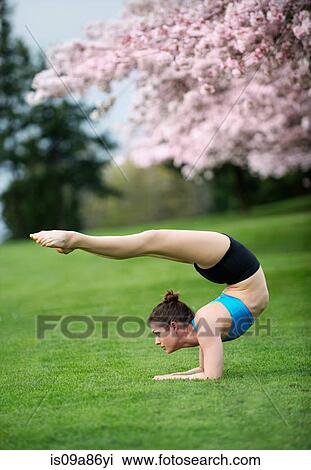 Acrobat performing stretches in park View Large Photo Image Stock Image - Acrobat performing stretches in park. Fotosearch