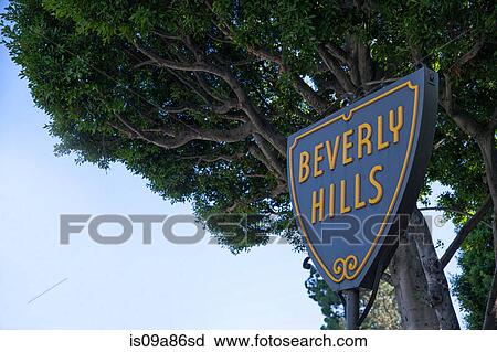 Beverly Hills sign under tree View Large Photo Image Stock Image - Beverly Hills sign under tree. Fotosearch