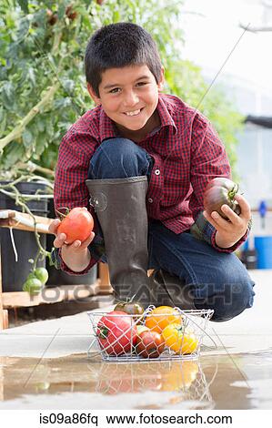 Stock Photography - Boy crouching holding ripe tomatoes. Fotosearch