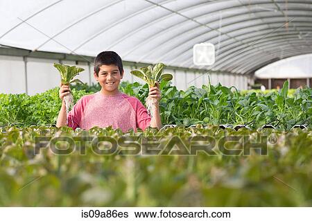 Boy holding up plants in nursery, smiling View Large Photo Image Stock Photograph - Boy holding up plants in nursery, smiling. Fotosearch