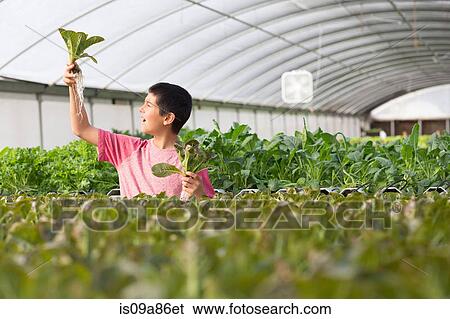 Stock Photograph - Boy holding up plants in nursery, smiling. Fotosearch