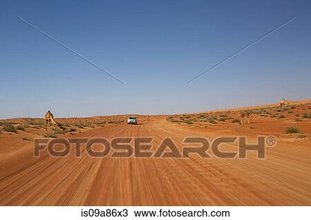 Desert road in Wahiba Sands, Al Mintrib, Oman View Large Photo Image Stock Image - Desert road in Wahiba Sands, Al Mintrib, Oman. Fotosearch