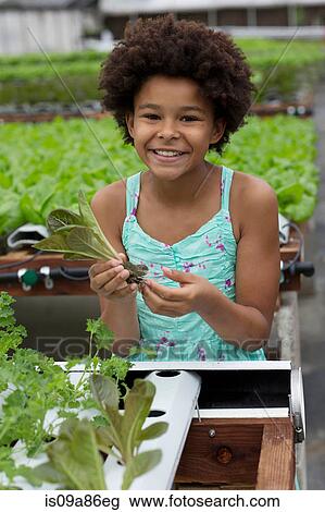 Girl holding lettuce in nursery View Large Photo Image Stock Image - Girl holding lettuce in nursery. Fotosearch