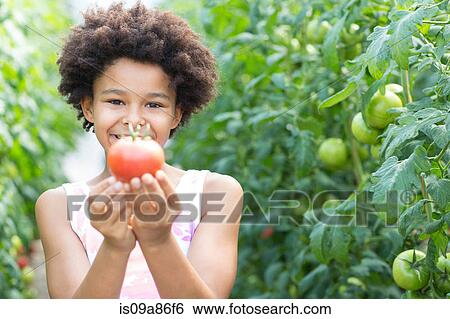 Stock Photograph - Girl picking fresh tomatoes. Fotosearch