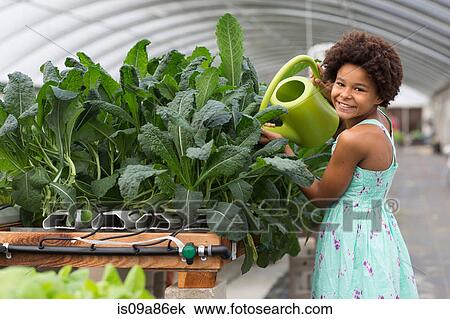 Girl watering plants in greenhouse View Large Photo Image Stock Image - Girl watering plants in greenhouse. Fotosearch