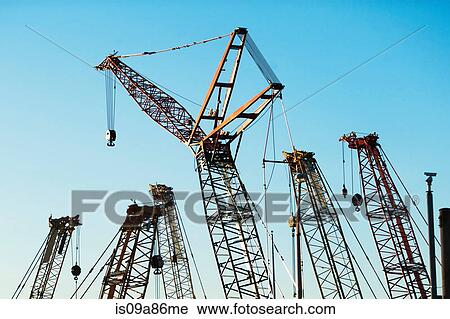 Group of construction cranes View Large Photo Image Stock Image - Group of construction cranes. Fotosearch