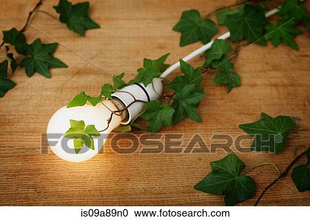 Stock Image - Illuminated lightbulb covered in ivy. Fotosearch