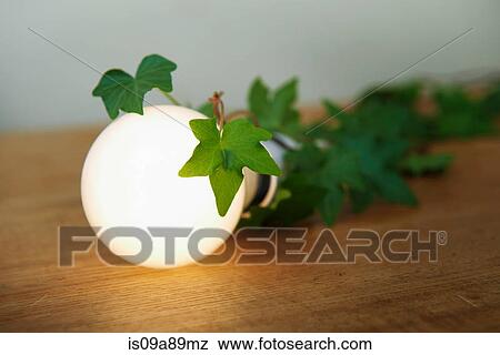 Stock Photo - Illuminated lightbulb covered in ivy. Fotosearch