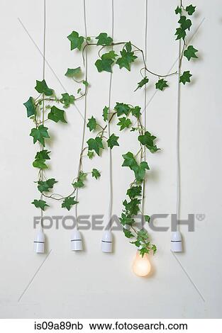 Lightbulb with ivy against white wall View Large Photo Image Stock Image - Lightbulb with ivy against white wall. Fotosearch