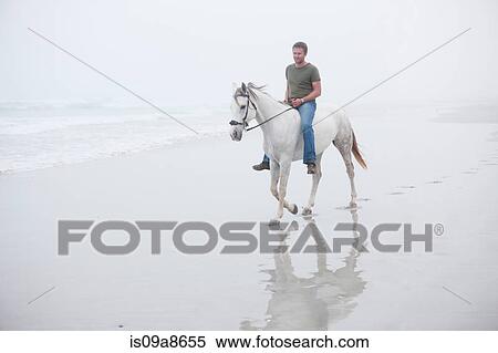 Man riding horse on beach View Large Photo Image Stock Photography - Man riding horse on beach. Fotosearch