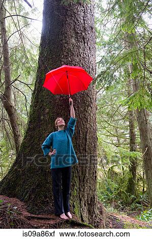 Mature woman holding red umbrella in forest View Large Photo Image Stock Image - Mature woman holding red umbrella in forest. Fotosearch