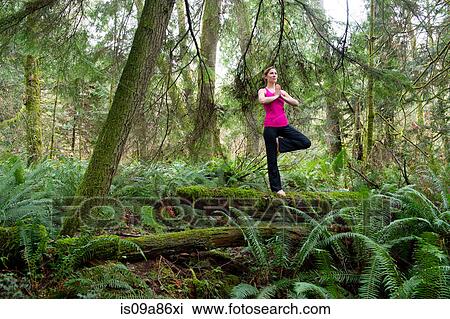 Mature woman performing tree pose in forest View Large Photo Image Stock Image - Mature woman performing tree pose in forest. Fotosearch