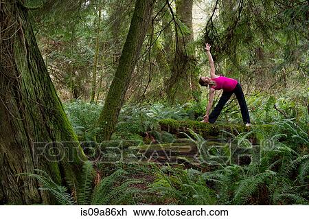 Stock Image - Mature woman performing triangle pose in forest. Fotosearch
