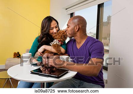 Stock Photography - Mid adult couple petting dog at home. Fotosearch