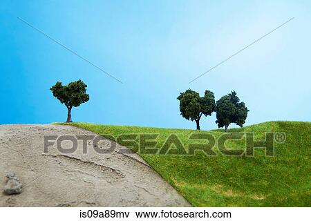 Model trees on pretend grass View Large Photo Image Stock Photo - Model trees on pretend grass. Fotosearch