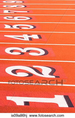 Numbers on running track in sportsground View Large Photo Image Stock Image - Numbers on running track in sportsground. Fotosearch