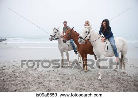 People riding horse on beach View Large Photo Image Stock Photo - People riding horse on beach. Fotosearch